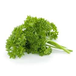 Parsley Curly (125gm)